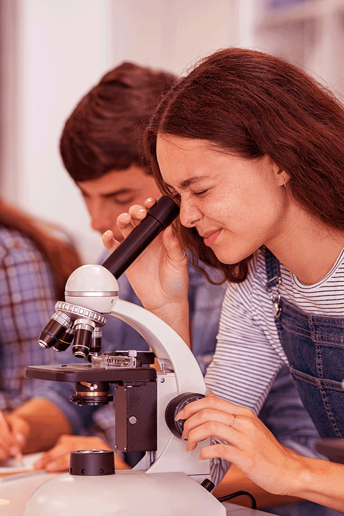 Students working with a microscope